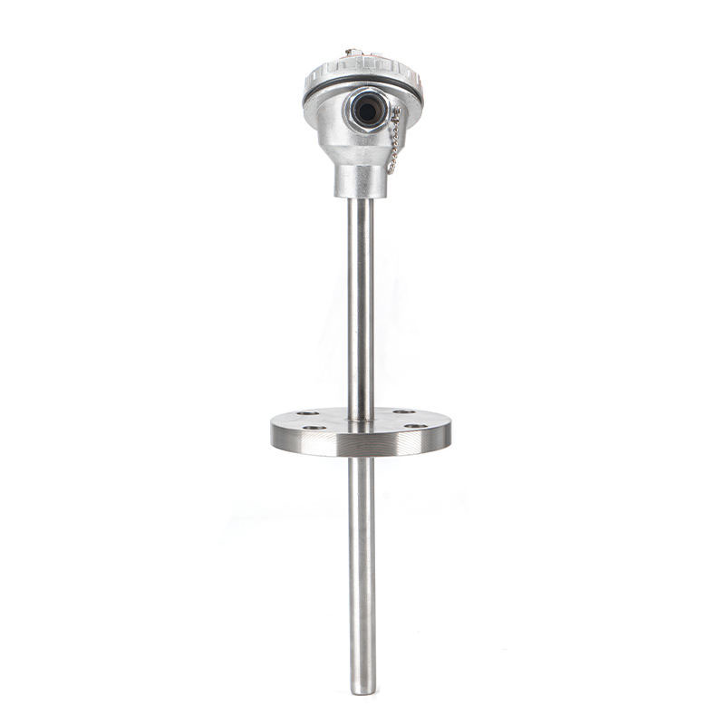 Nakapirming flange thermocouple