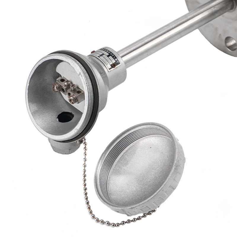 Nakapirming flange thermocouple