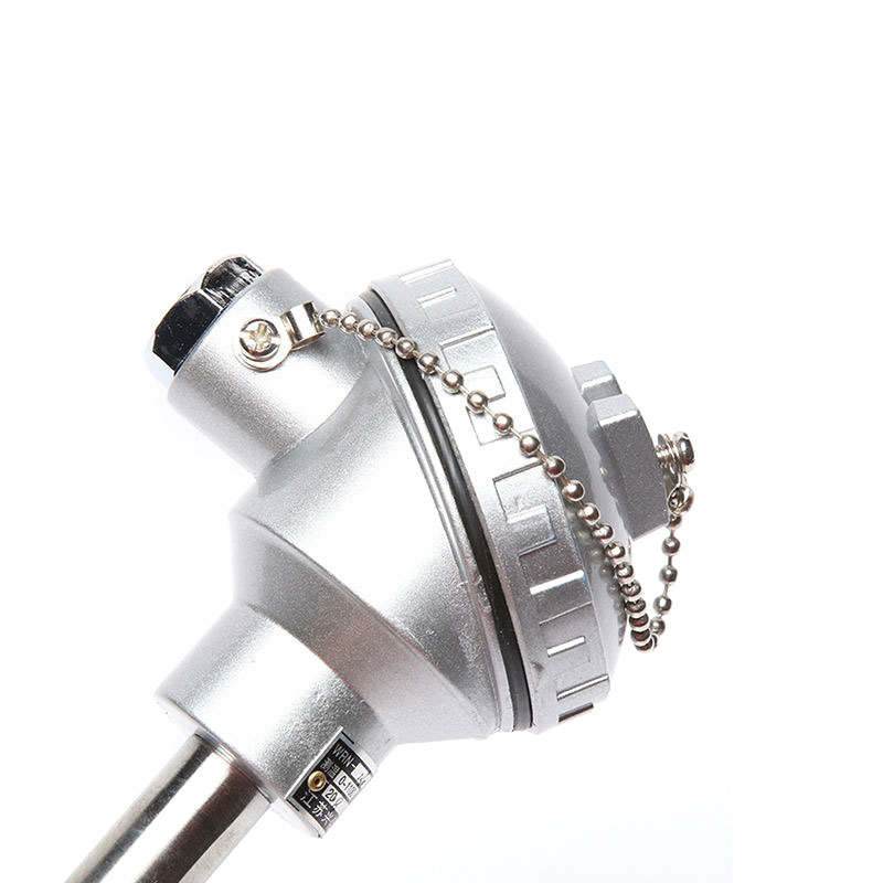 0.2–0.4 mm wire diameter Uri S/B/R platinum-rhodium thermocouple furnace high-temperature sensor probe para sa mga tinunaw na metal