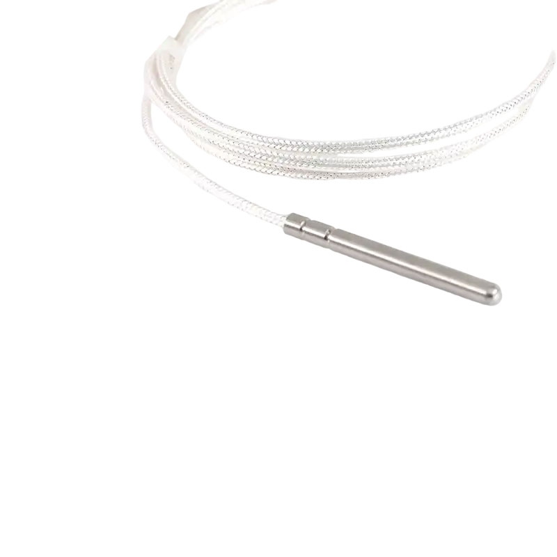 Industrial PT100 RTD temperature sensor 3-wire platinum thermistor 50mm thermocouple probe