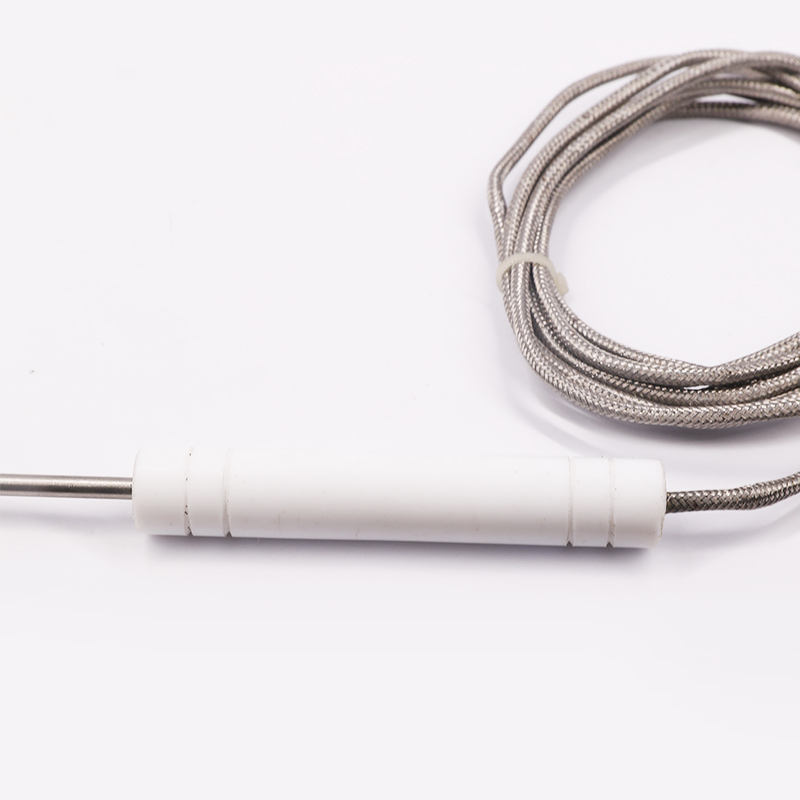 PT1000 PT100 NTC Food-Grade Probe Temperature Sensor Stainless Steel Probe Thermocouple para sa Meat Barbecue at Ovens