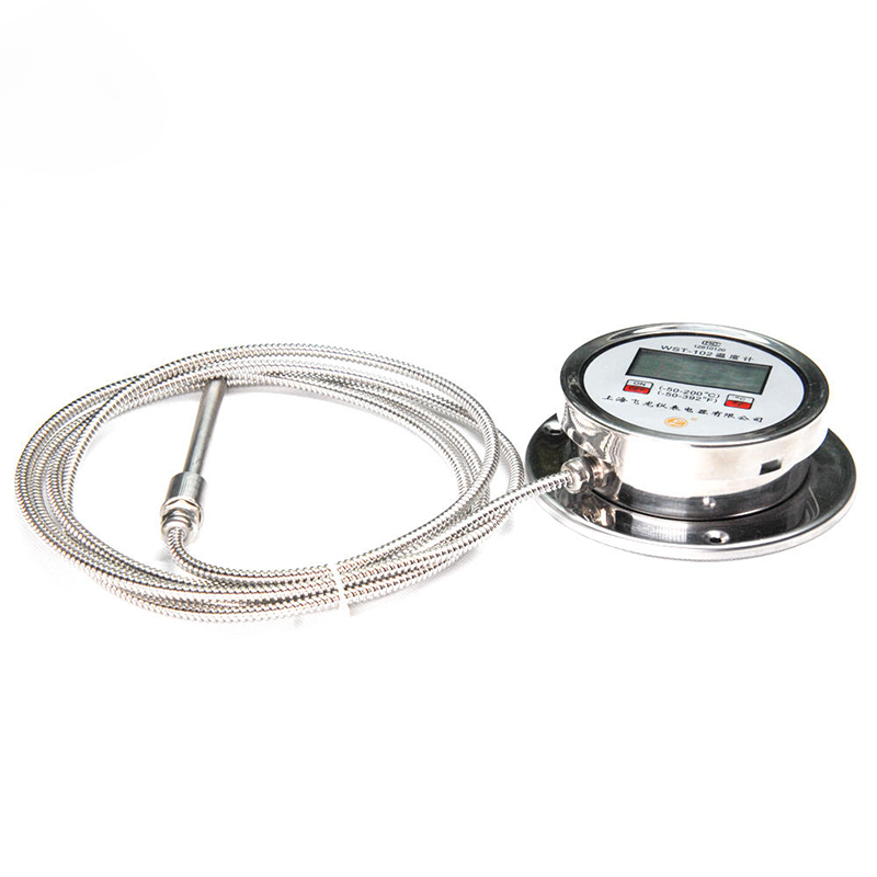 High-Precision Digital Display Thermometer Radial K-Type Pt100 Thermometer Hindi kinakalawang na Asero Flexible Hose Digital Thermometer