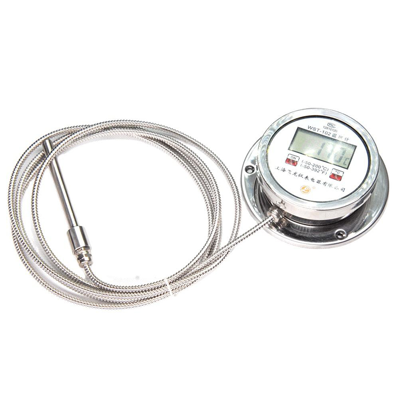 High-Precision Digital Display Thermometer Radial K-Type Pt100 Thermometer Hindi kinakalawang na Asero Flexible Hose Digital Thermometer
