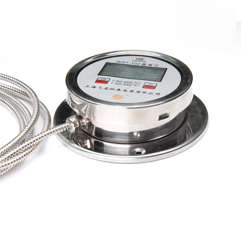 High-Precision Digital Display Thermometer Radial K-Type Pt100 Thermometer Hindi kinakalawang na Asero Flexible Hose Digital Thermometer